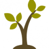 Investment Tree Icon