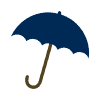 Protect Umbrella Icon